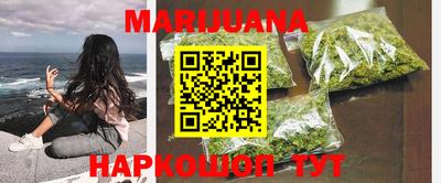 индика Заводоуковск