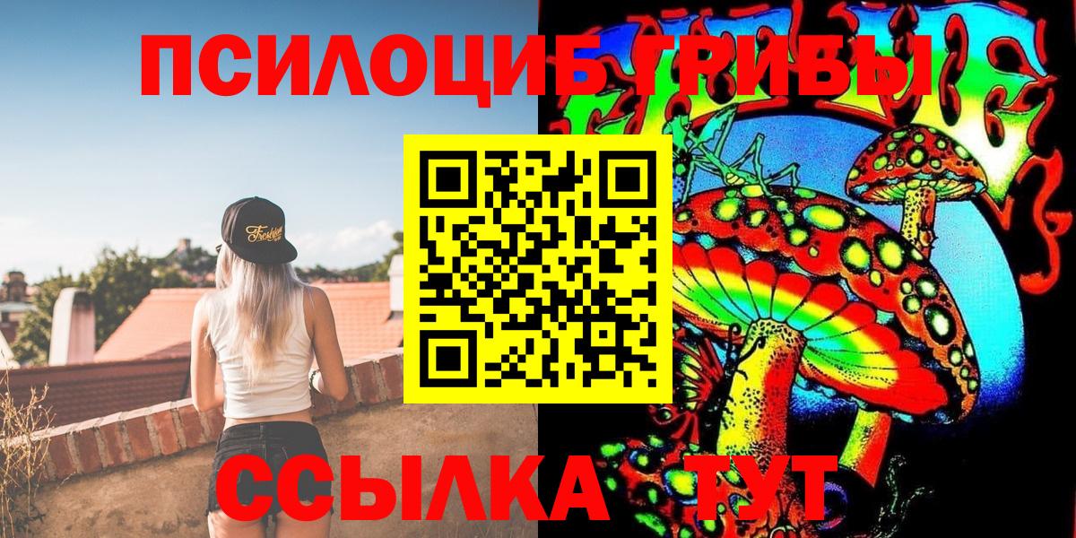 Москва  Псилоцибиновые грибы прущие грибы  Вход с VPN 